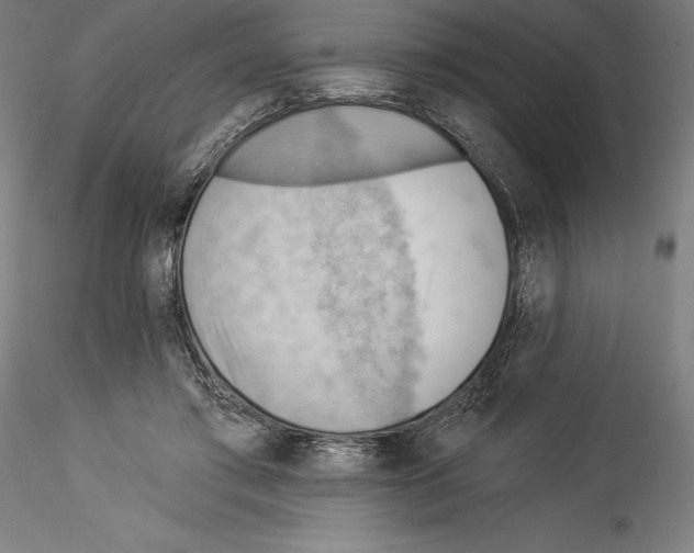 X0000114530405200911301143