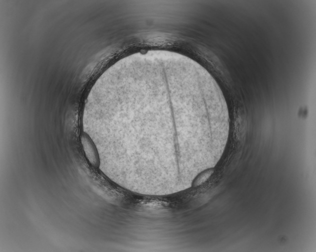 X0000114530407200911301143