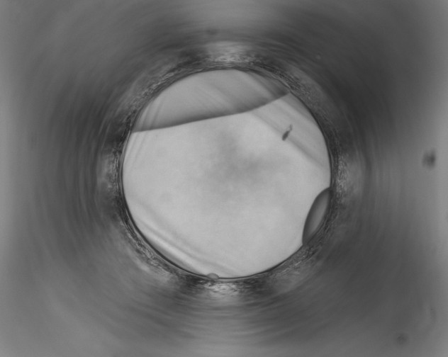 X0000114530409200911301143