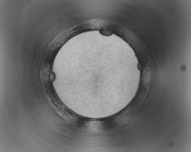 X0000114530413200911301143