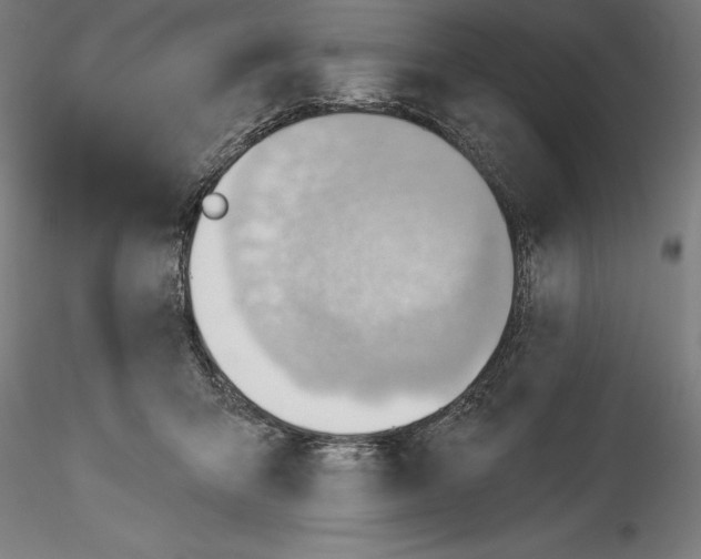 X0000114530415200911301143