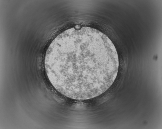 X0000114530416200911301143