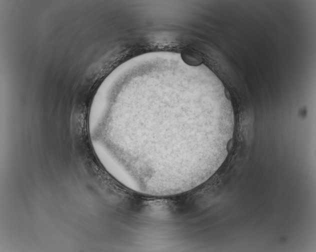 X0000114530417200911301143