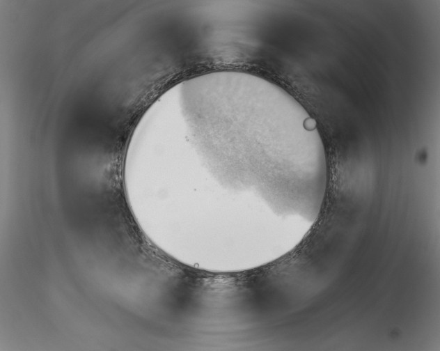 X0000114530419200911301143