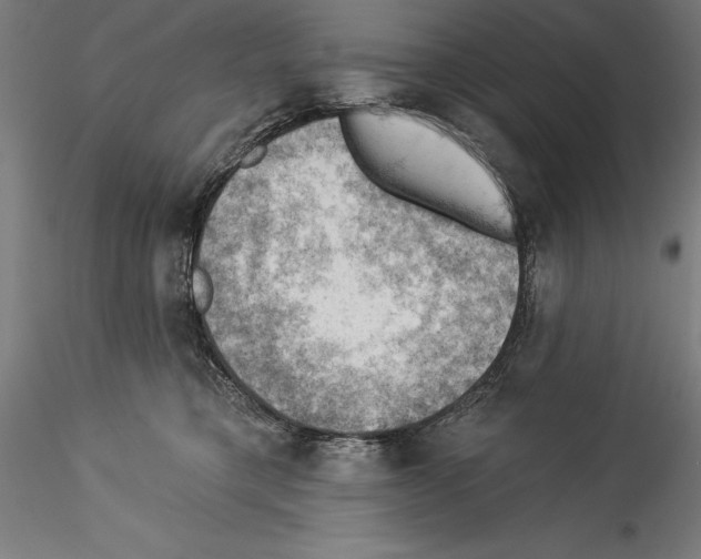 X0000114530421200911301143