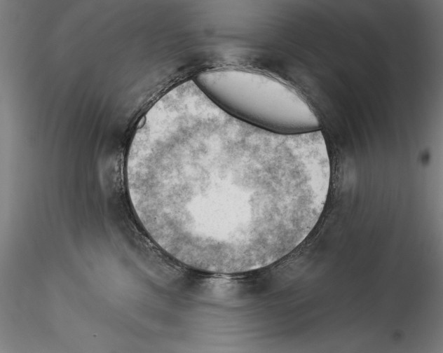 X0000114530425200911301143