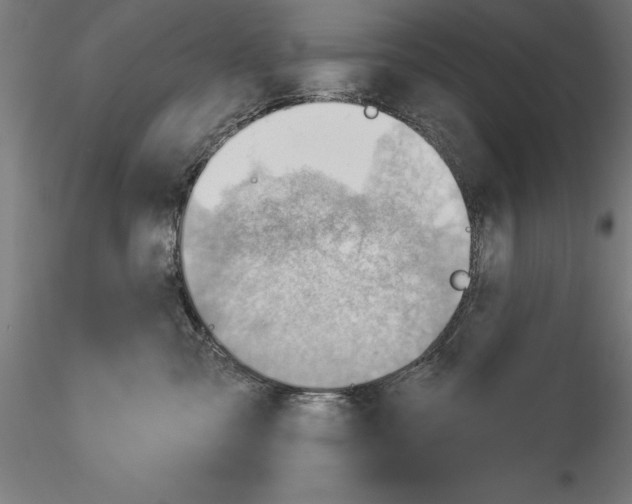 X0000114530427200911301143