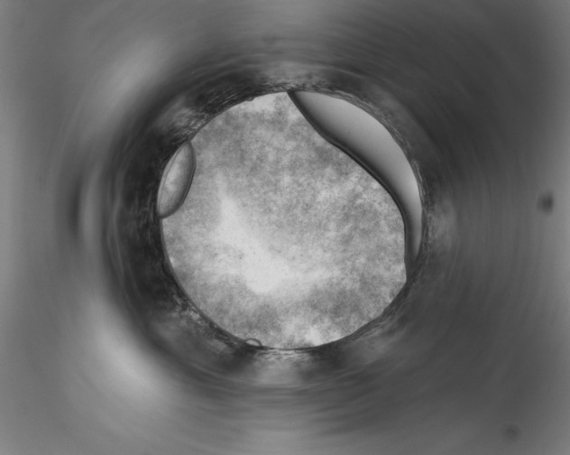 X0000114530429200911301143