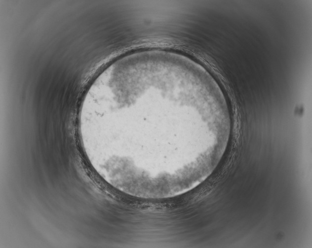 X0000114530434200911301142