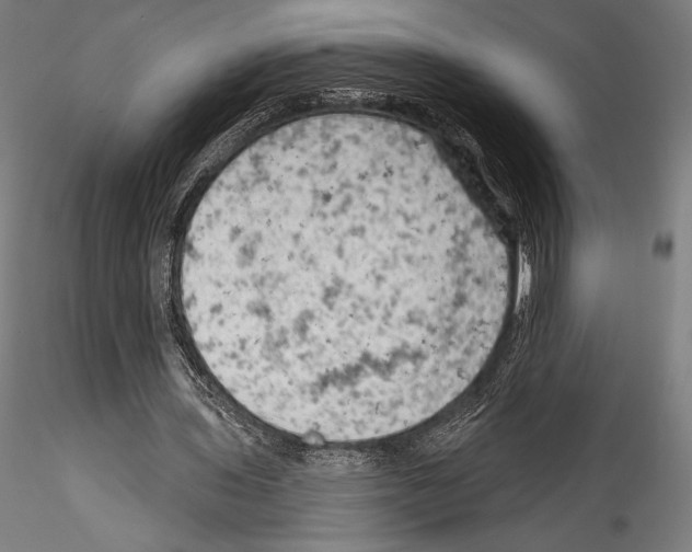 X0000114530435200911301142