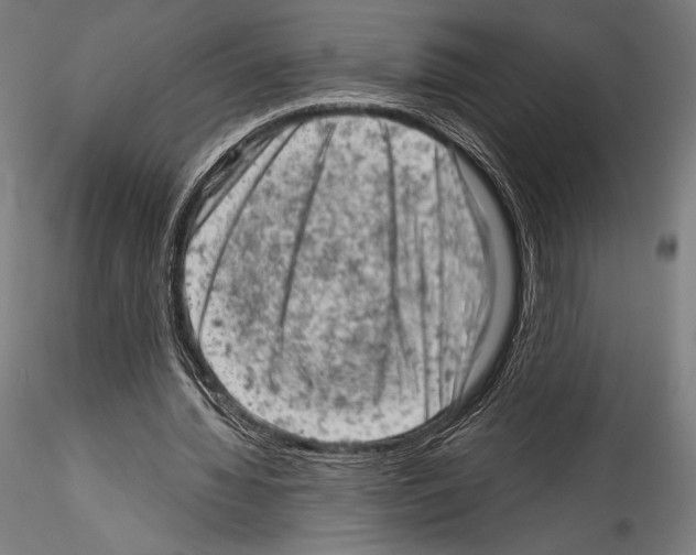 X0000114530436200911301142