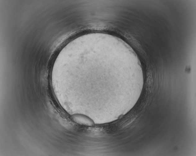 X0000114530440200911301142