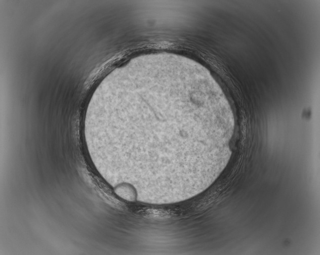 X0000114530442200911301142