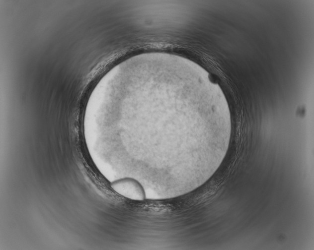 X0000114530443200911301142