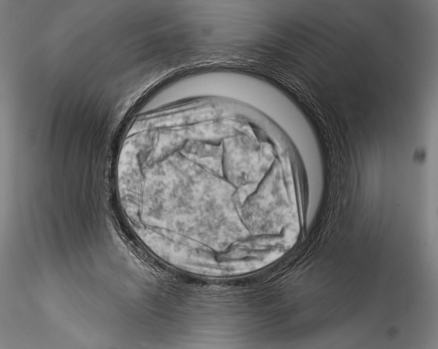 X0000114530444200911301142