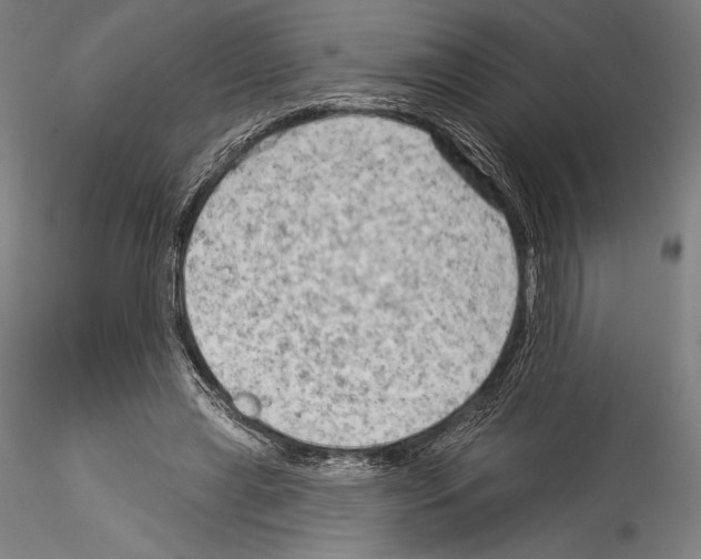 X0000114530445200911301142