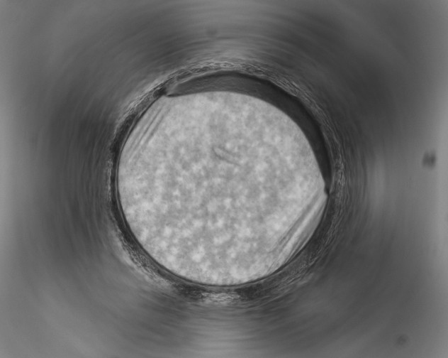 X0000114530446200911301142