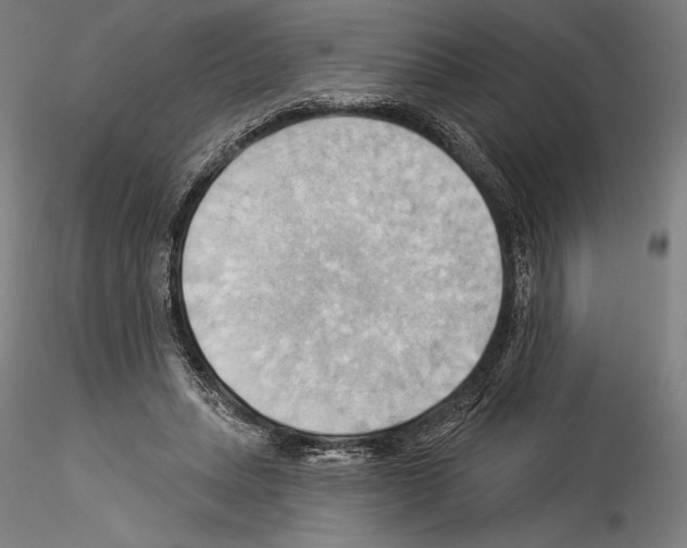 X0000114530447200911301142