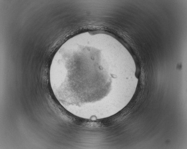 X0000114530449200911301142