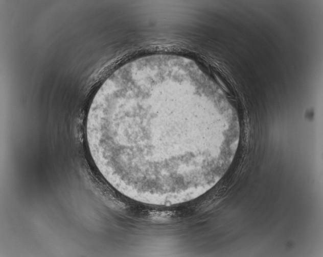 X0000114530450200911301142