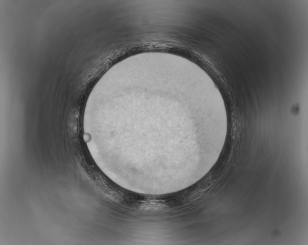 X0000114530451200911301142