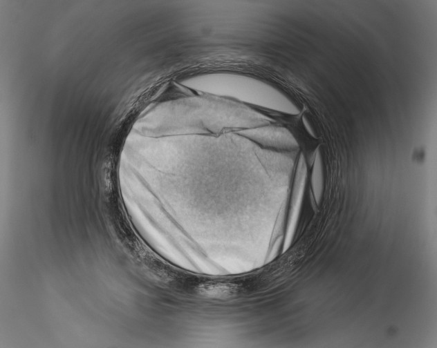 X0000114530452200911301142