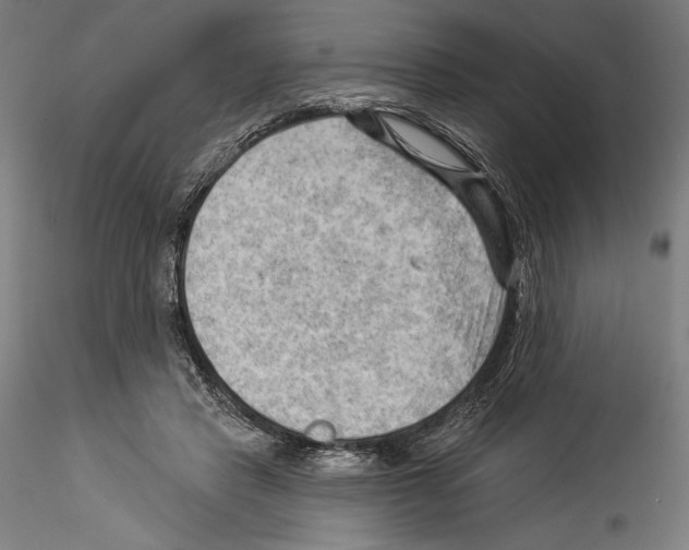 X0000114530453200911301142