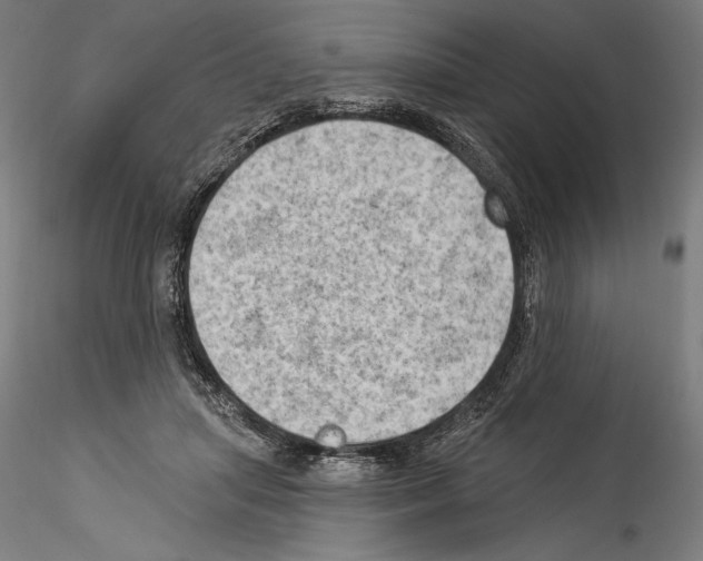 X0000114530455200911301142