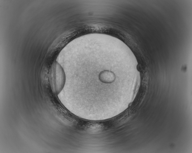 X0000114530456200911301142