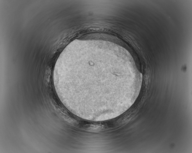 X0000114530458200911301143