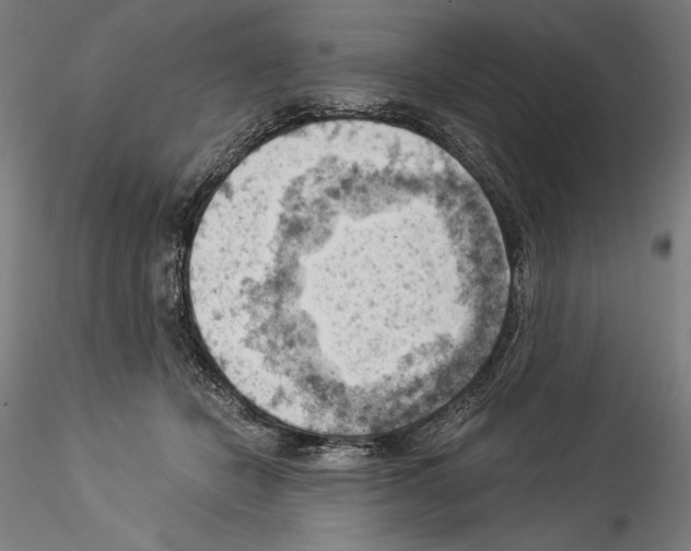 X0000114530462200911301143