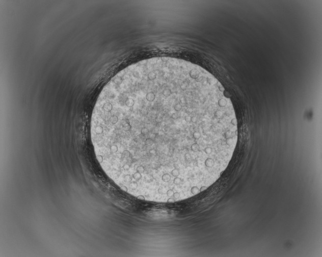 X0000114530464200911301143