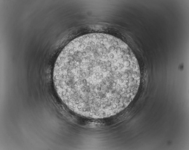 X0000114530466200911301143