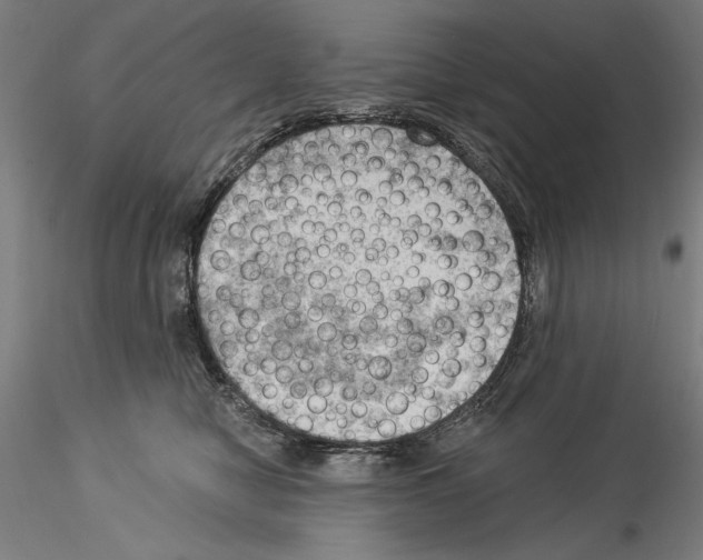 X0000114530470200911301143