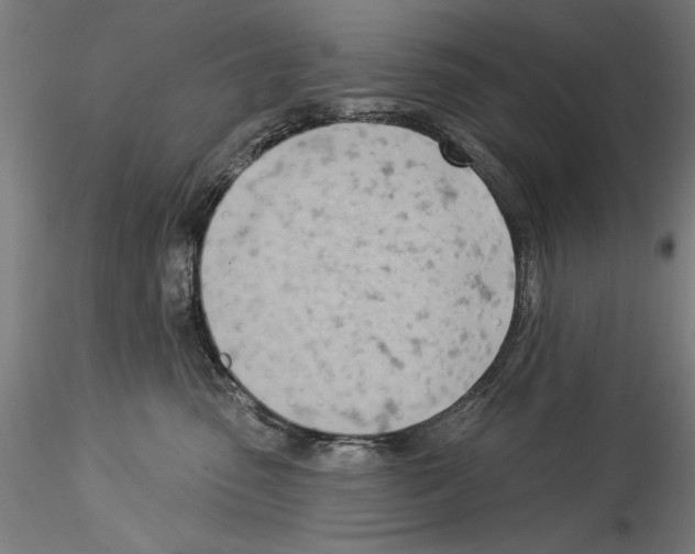 X0000114530475200911301143