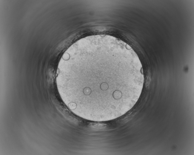 X0000114530476200911301143