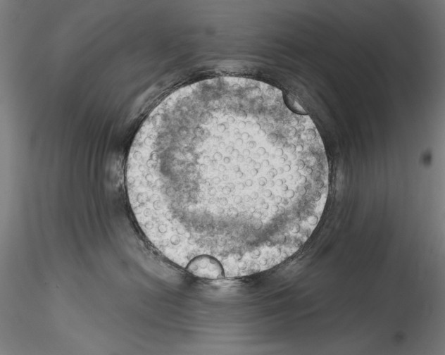 X0000114530478200911301143