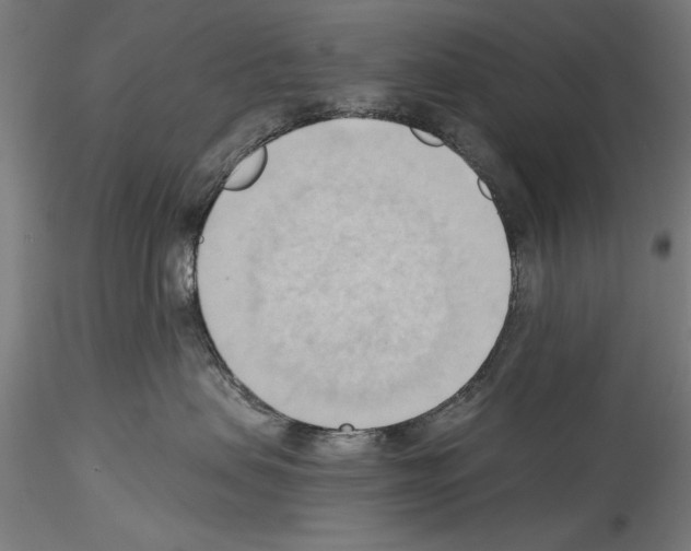 X0000114530479200911301143