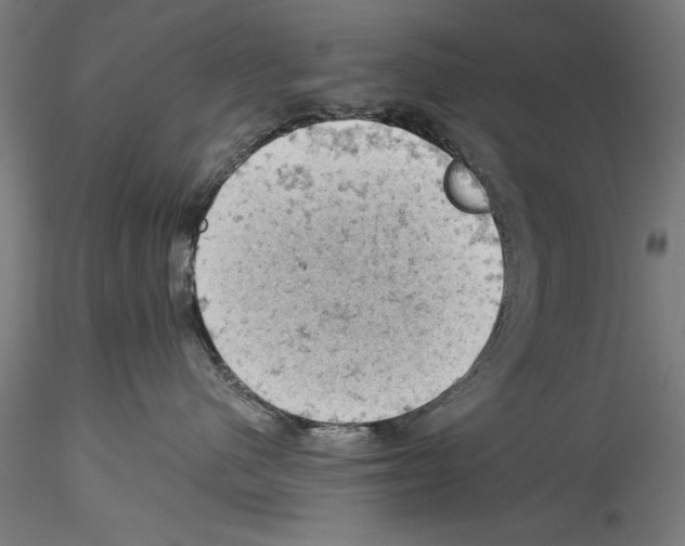 X0000114530480200911301143