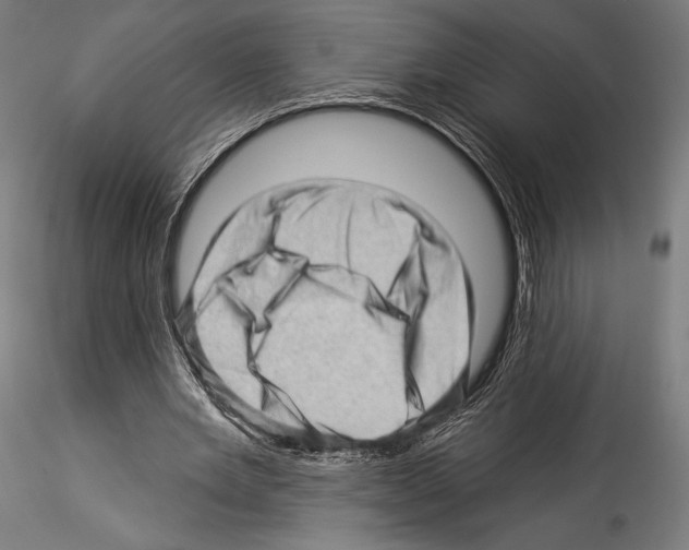 X0000114530485200911301142