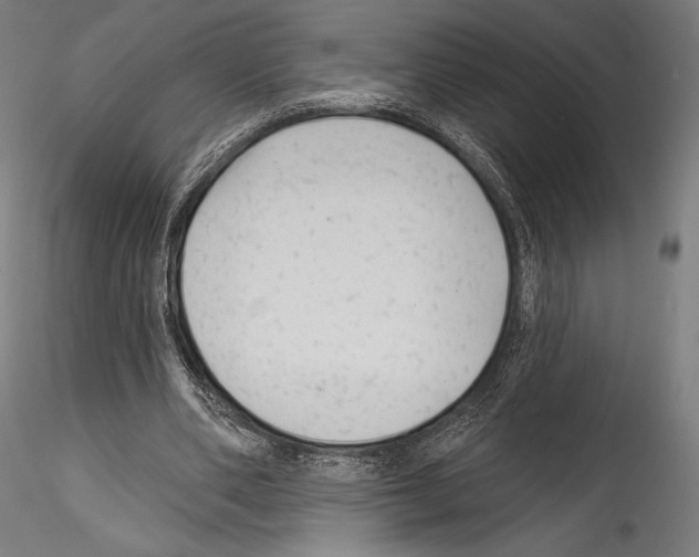 X0000114530486200911301142