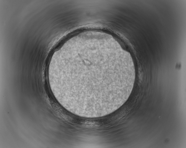 X0000114530487200911301142