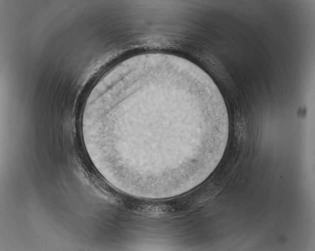 X0000114530488200911301142