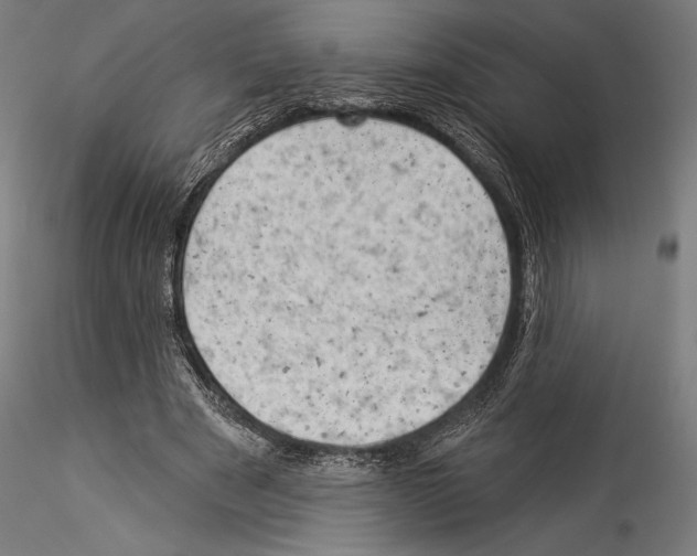 X0000114530489200911301142