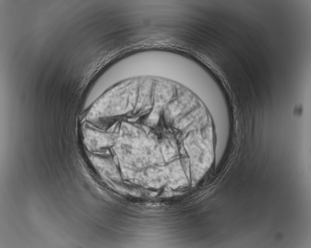 X0000114530493200911301142