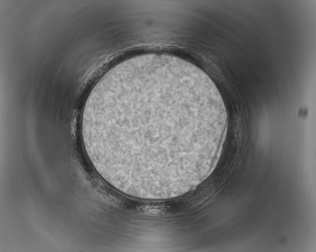 X0000114530495200911301142