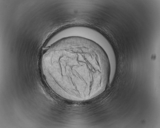 X0000114530496200911301142