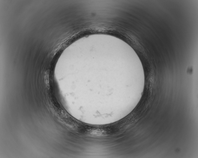 X0000114530500200911301142