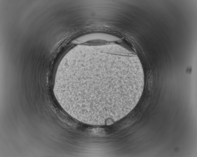 X0000114530501200911301142