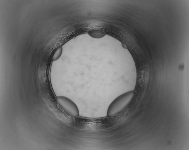 X0000114530504200911301142